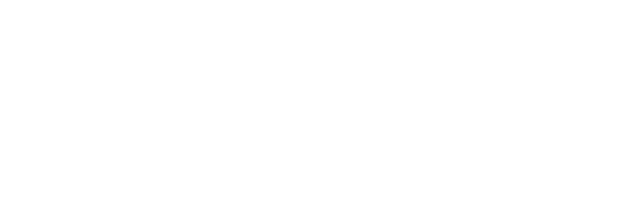 Blacklion Logo