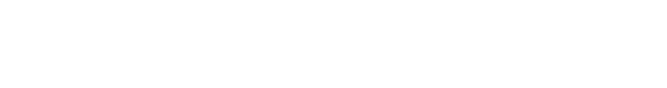 Bridgestone Logo